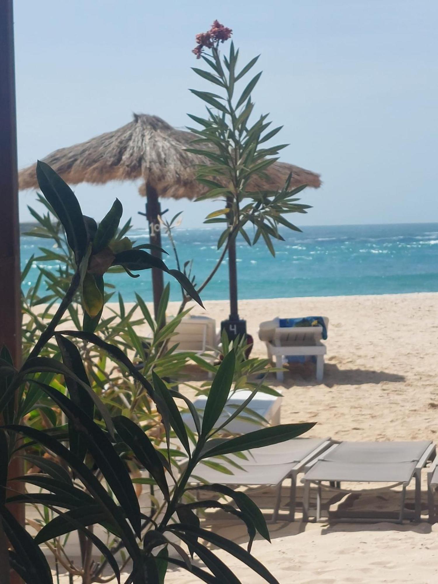 Vista Oceano - Boa Vista Island Apartment Sal Rei Ngoại thất bức ảnh